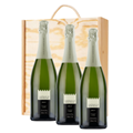 Buy & Send 3 x Castillo de Mont-Blanc Cava 75cl In A Pine Wooden Gift Box
