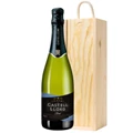 Buy & Send Castell Llord Brut Cava 75cl In Pine Gift Box