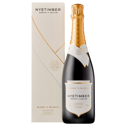 Buy & Send Nyetimber Blanc de Blancs English Sparkling Wine 75cl